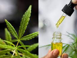 Just How Can CBD Get In Touch With Other Medicines and Supplements? post thumbnail image