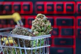 Get excellent advantages, on account of the service to order weed online post thumbnail image
