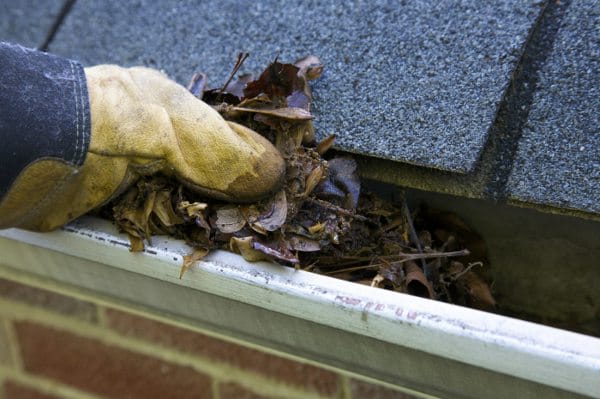 Expert Gutter Cleaning Services in the Eastern Suburbs: Reliable and Efficient Solutions post thumbnail image