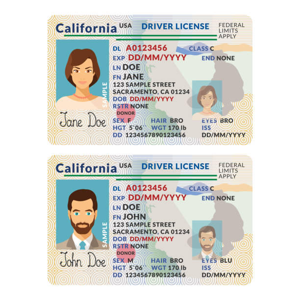 The Bogus Ids Which Are Too Near Legitimate – Bogusbraxtor post thumbnail image