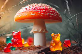 Amanita Mushroom Gummies: A Wholesome Indulgence post thumbnail image
